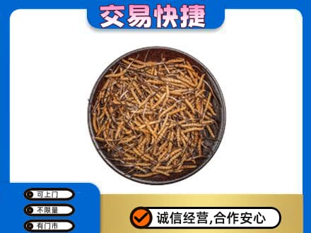 黄山礼品回收虫草.jpg